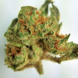 Buy GG1 ( Gorilla Glue #1 ) Marijuana