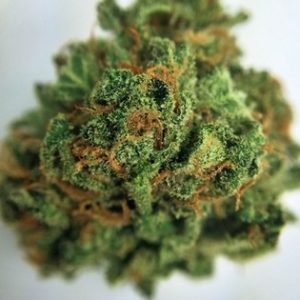 Buy Green Haze Marijuana