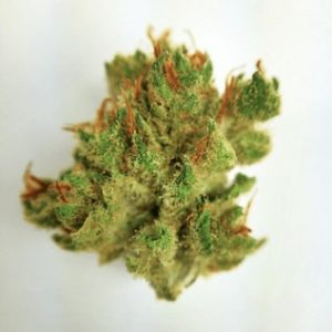 Buy Jack Herer Marijuana