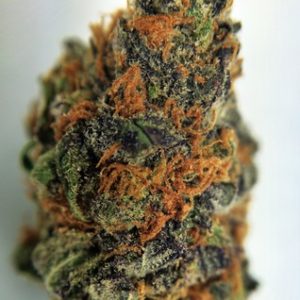 Buy Purple Kush Marijuana