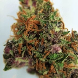 Buy Purple OG Kush Marijuana